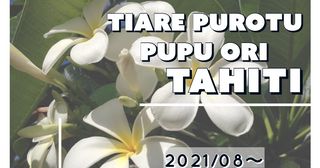 小松川、松江で新規オープン!タヒチアンダンス踊りましょう!
